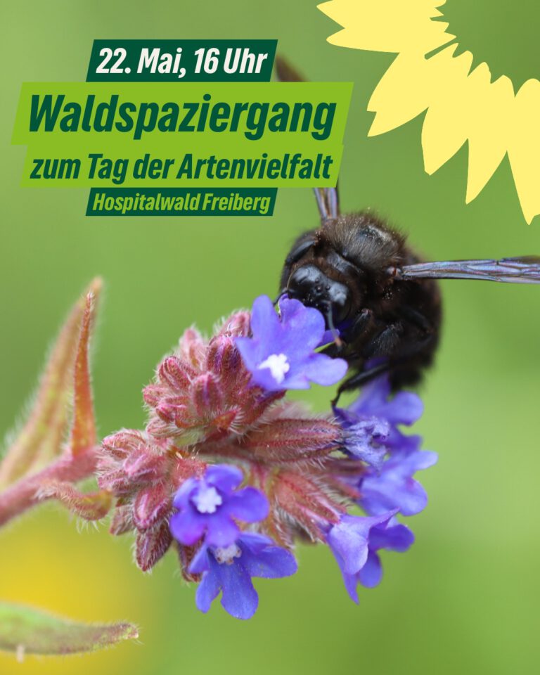Ab in den Wald!
